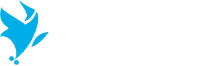 Logo der Rollnacht Düsseldorf